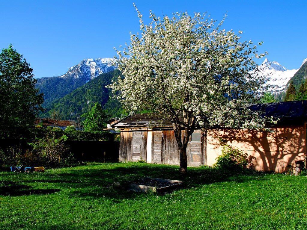 Haus Stainer Apartamento Lofer Exterior foto